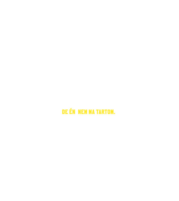  minta szürke pólón
