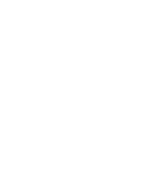 Handball 