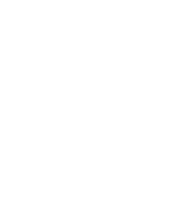 sword on the wing (white)