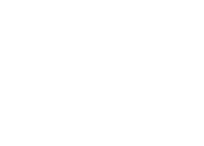 Tribal Dragons and Sword