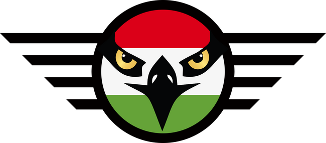 Eagle Air Force (fantázia logo)