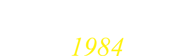 Modern Talking 1984