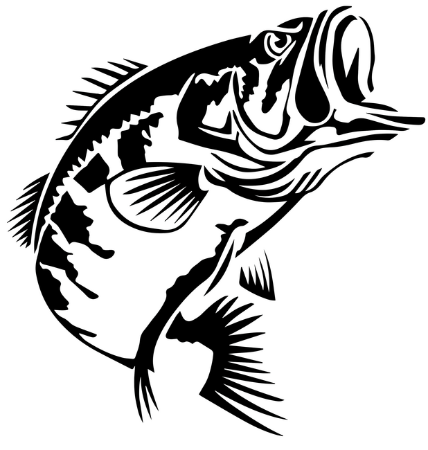 AngryFish (white)