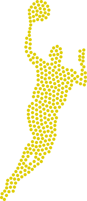 Kosaras