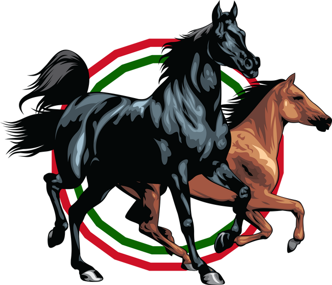 Magyar lovak