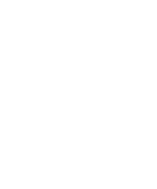 Tribal Mustang