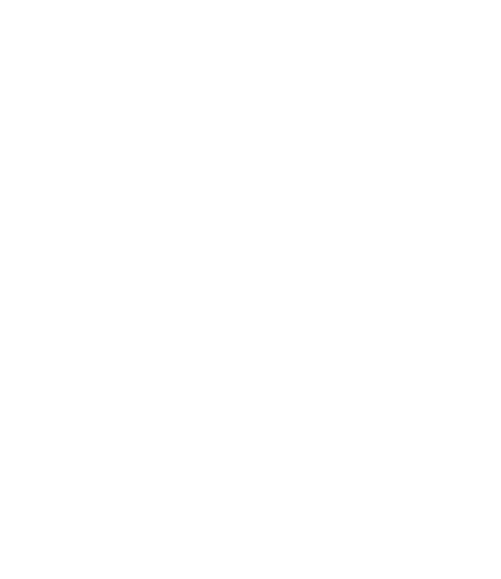 Tökéletes szakács