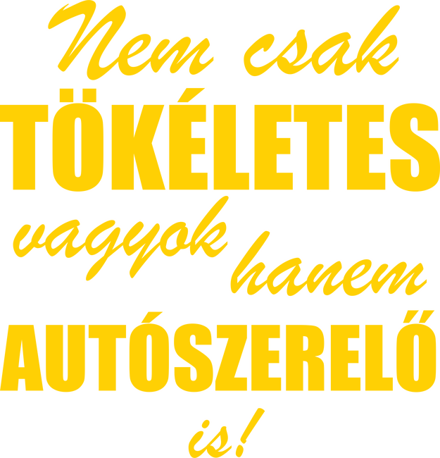 Tökéletes autószerelő