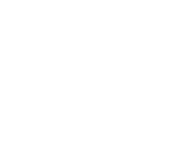 Krav Maga