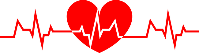 EKG szív