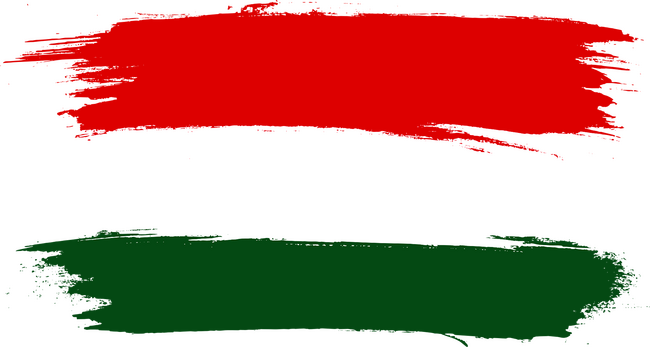 Magyar zászló (festett stílus)