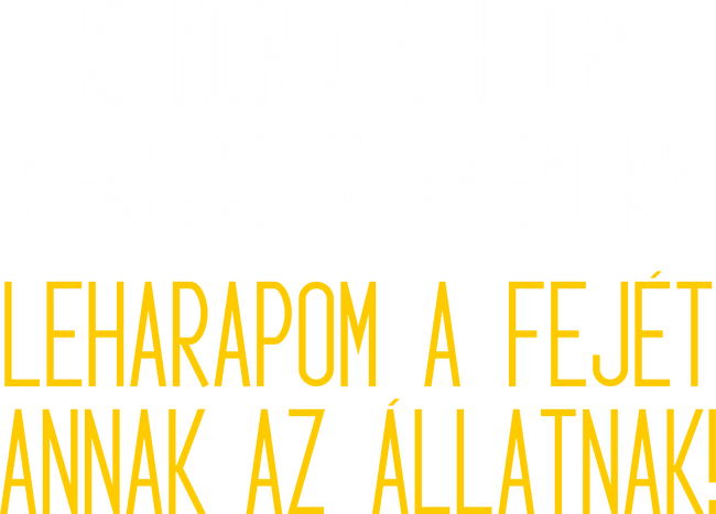 Nem vagyok agresszív!