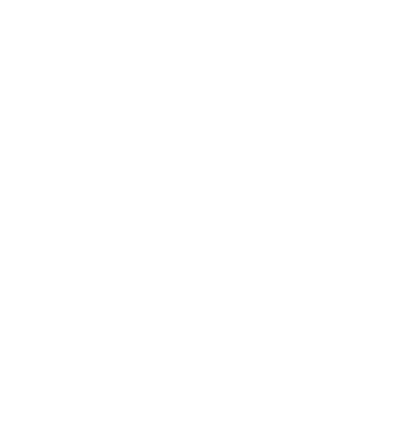 Hivatalosan 40 éves