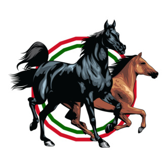 Magyar lovak