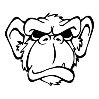Angry Monkey