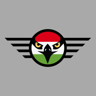 Eagle Air Force (fantázia logo)
