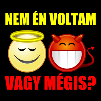 Nem én voltam