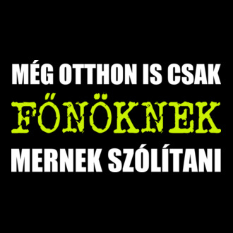 Szólíts főnöknek