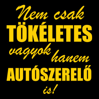 Tökéletes autószerelő